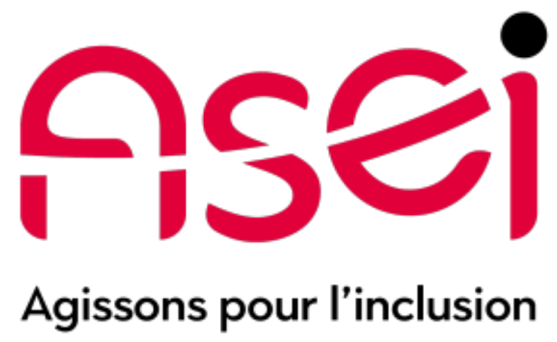 Logo de l'ASEI
