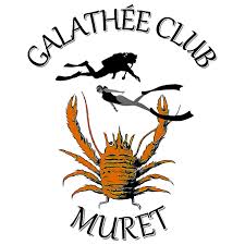 Logo du Galathée Club de Muret