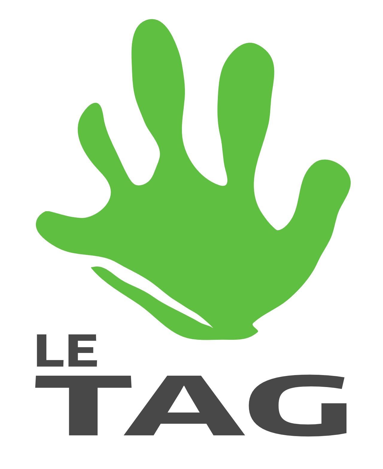 Logo de Tournefeuille Altitude Grimpe TAG