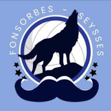 Logo du Fonsorbes Seysses Volleyball