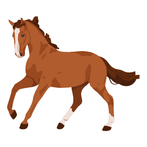 Icône équitation: lien