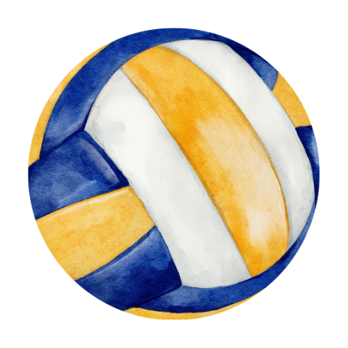 Icône volleyball: lien